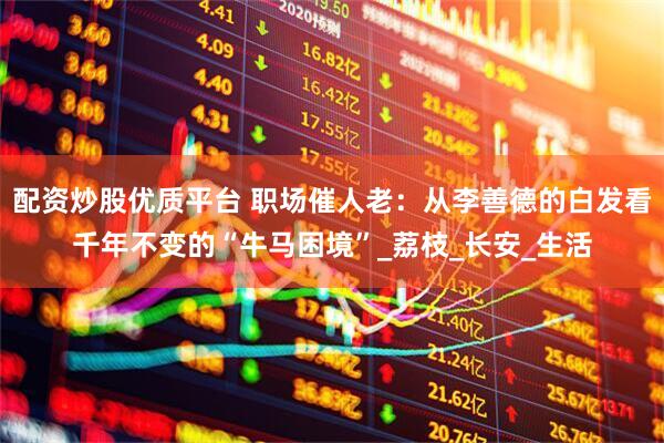 配资炒股优质平台 职场催人老：从李善德的白发看千年不变的“牛马困境”_荔枝_长安_生活