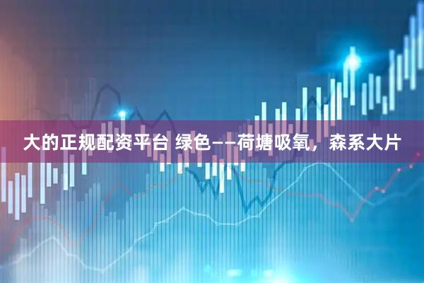 大的正规配资平台 绿色——荷塘吸氧，森系大片